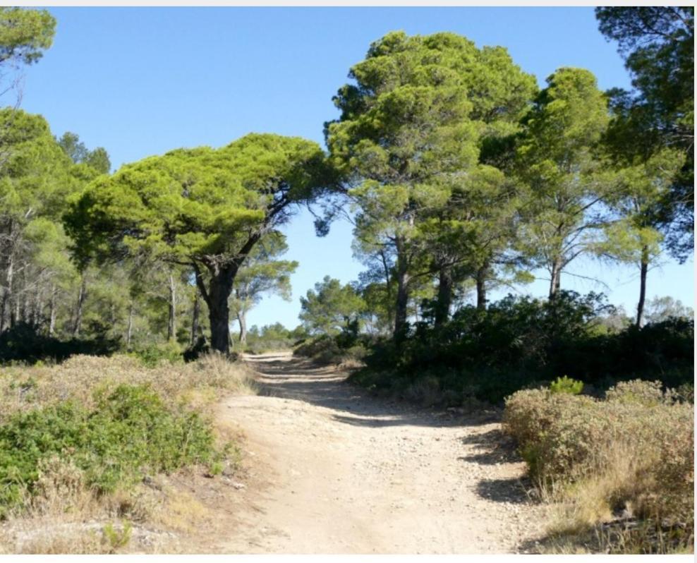 Antiqua Roma Spqr Domus Villa Port-la-Nouvelle Luaran gambar